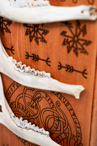 Image of deer jawbone norse symbols altar