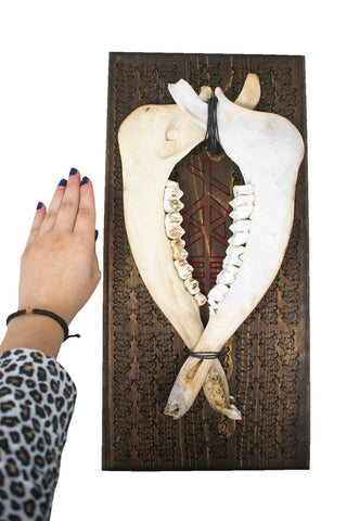 Image of Odin bindrune double elk jawbone wall hanger