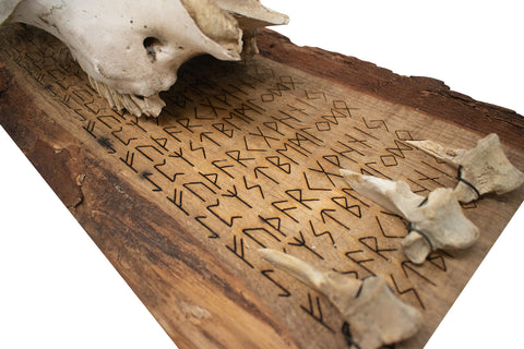 Image of fully runic cow skull and vertebrae wall hanger