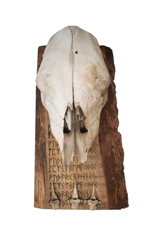 Image of fully runic cow skull and vertebrae wall hanger