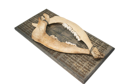 Image of yggdrasil double elk jawbone wall hanger