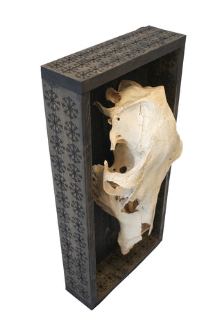 Image of veldismagn elk skull mount