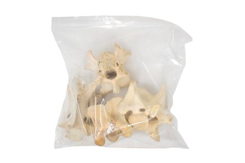 Image of 1 lb. bag of elk vertebrae