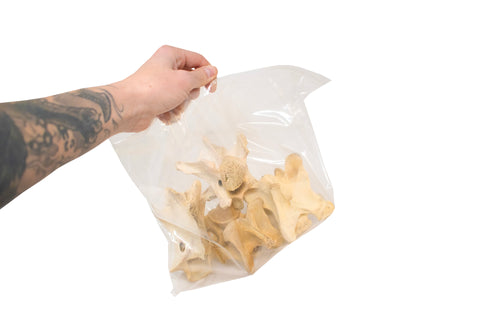Image of 1 lb. bag of elk vertebrae