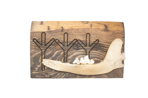 Image of algiz jawbone wall hanger