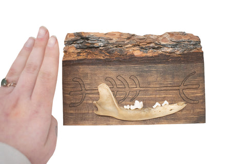 Image of protection sigil jawbone hanger