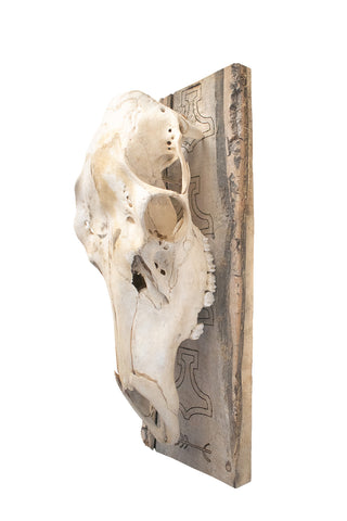 Image of mjolnir & protection sigil elk skull hanger