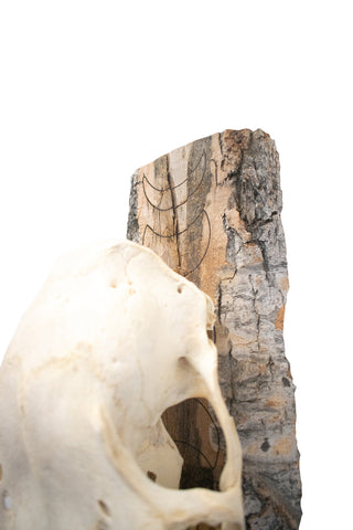 Image of moon phase/vegvisir/hail the old gods elk skull hanger