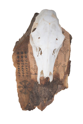 Image of algiz elk skull hanger
