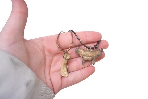 Image of gray wolf bone necklace