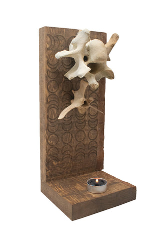Image of moon phase elk vertabra altar