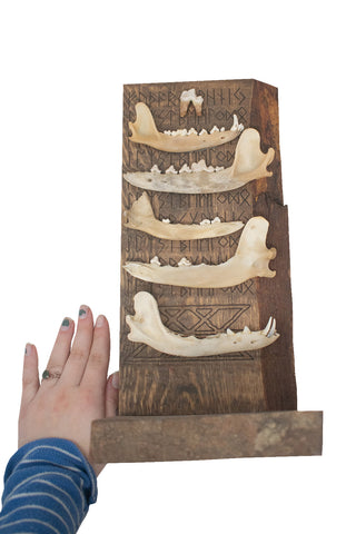 Image of stacked jawbones & elder futhark runes altar