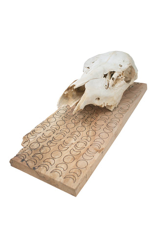Image of moon phase elk skull hanger