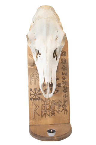 Image of norse symbols elk skull altar