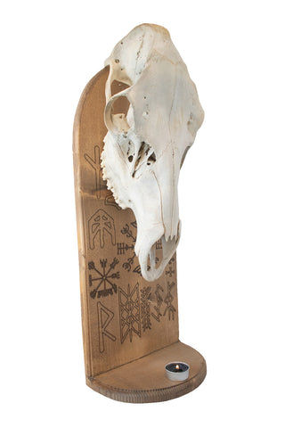 Image of norse symbols elk skull altar