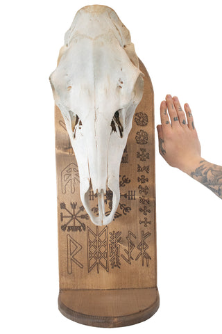 Image of norse symbols elk skull altar
