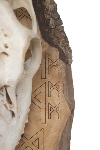 Image of mannaz rune elk skull wall hanger