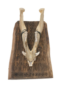 hail the old gods pig jaw wall hanger