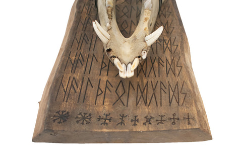 Image of hail the old gods pig jaw wall hanger