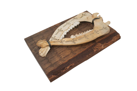 Image of algiz rune live edge jawbone wall hanger