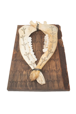 Image of algiz rune live edge jawbone wall hanger