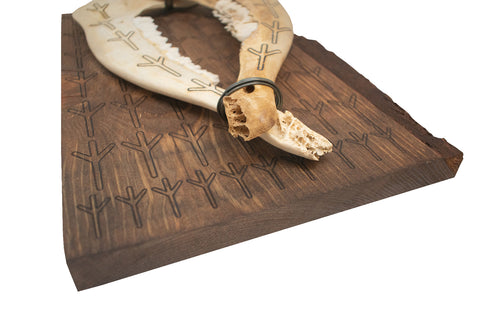 Image of algiz rune live edge jawbone wall hanger