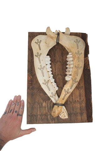 Image of algiz rune live edge jawbone wall hanger