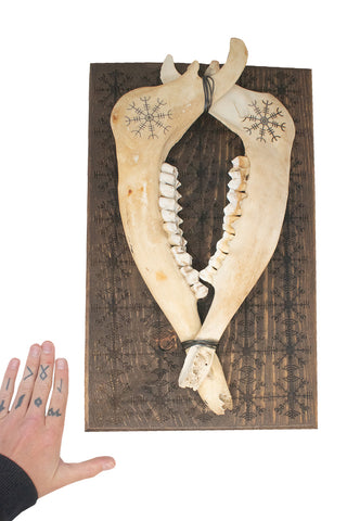 Image of veldismagn and helm of awe double elk jawbone hanger