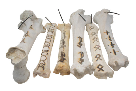 Image of elk & cow bone incense dishes - lot 1