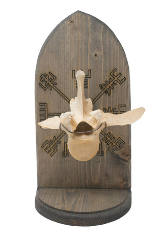Image of vegvisir cow vertebra altar