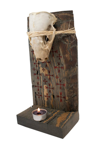 Image of Badger skull & ward off negative forces sigil altar