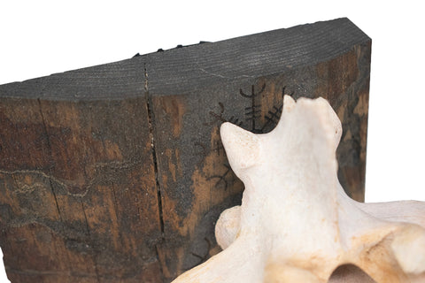 Image of Ægishjálmr double elk vertebra altar