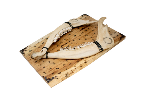 Image of runic double elk jawbone hanger