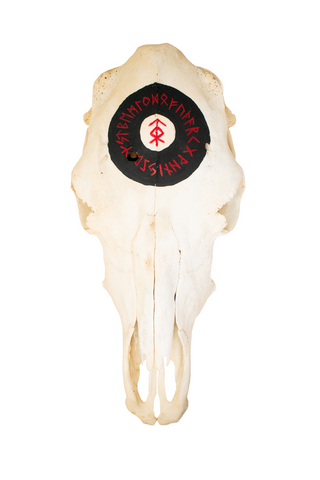 Image of home protection bindrune cow skull
