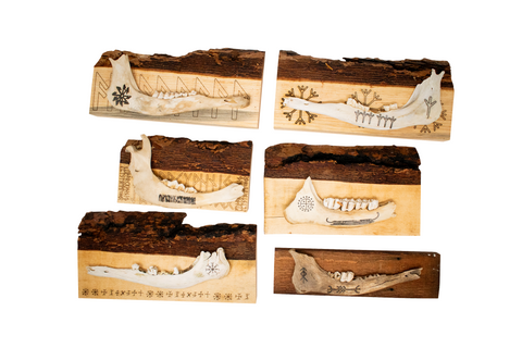 Image of live edge jawbone wall hanger