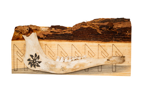 Image of live edge jawbone wall hanger