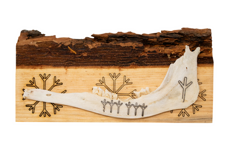 Image of live edge jawbone wall hanger
