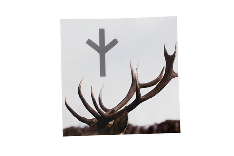 Image of Algiz antler sticker