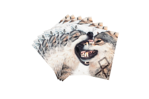 Image of Odin's wolves sticker