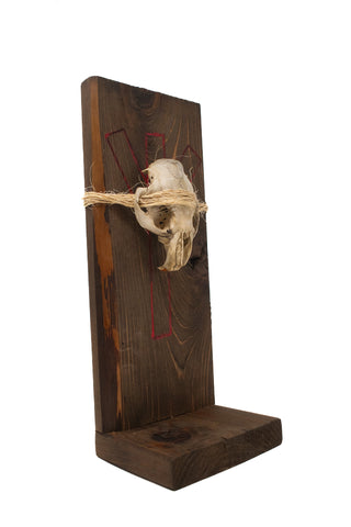 Image of beaver skull and algiz rune altar