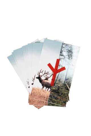 Image of Algiz forest sticker