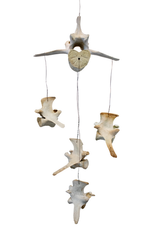 Image of elk vertebra wind chime