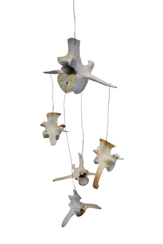 Image of elk vertebra wind chime