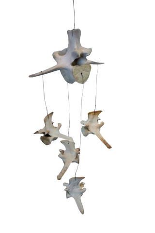 Image of elk vertebra wind chime