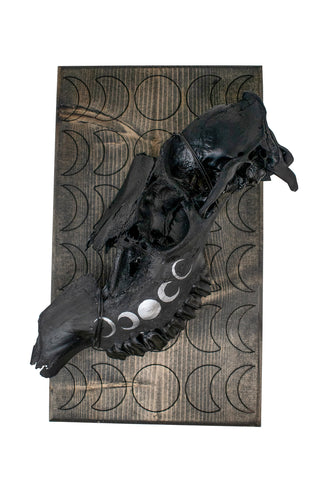 Image of moon phase elk skull hanger