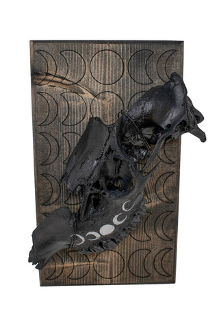 Image of moon phase elk skull hanger
