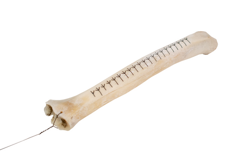 Image of algiz rune deer leg talisman