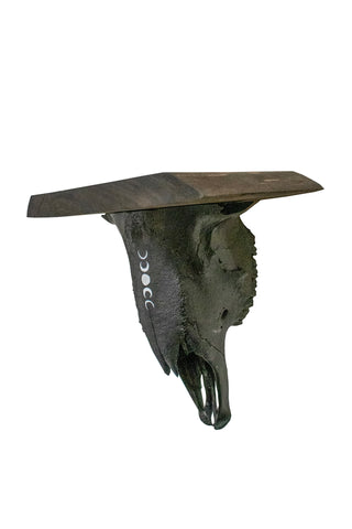 Image of moon phase sheep skull shelf