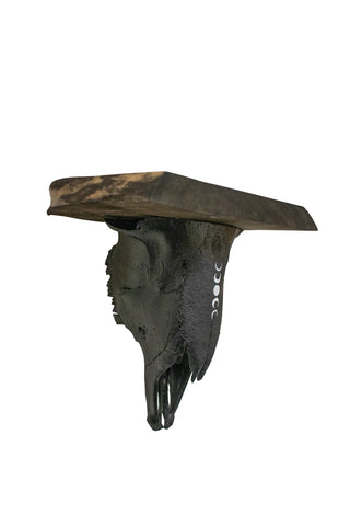 Image of moon phase sheep skull shelf