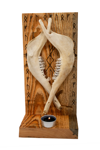 Image of prosperity bindrune & sheep jawbones altar